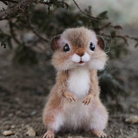 cute animal